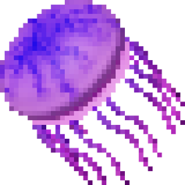 Jellyfish