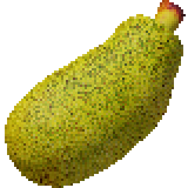 Jackfruit