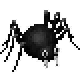 Spider
